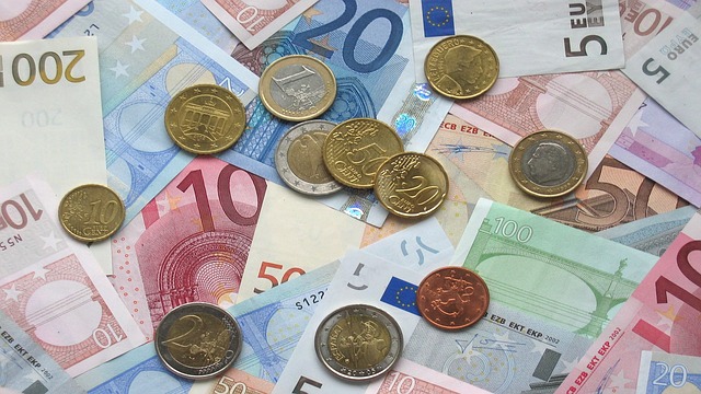 evropská měna